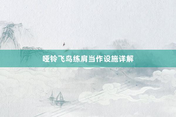 哑铃飞鸟练肩当作设施详解